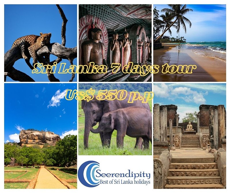 Sri Lanka 7 days road trip