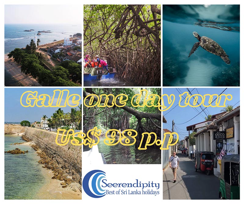 Galle one day tour banner, one-day trips from Colombo