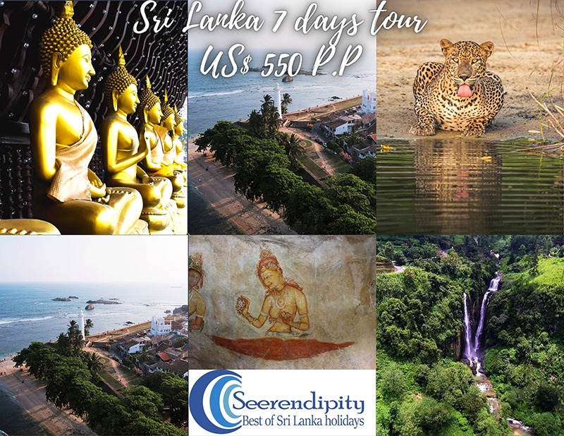 7 days sri lanka tour, Sri Lanka South Coast Itinerary, Sri Lanka South Coast tour, places to visit on Sri Lanka South Coast Itinerary