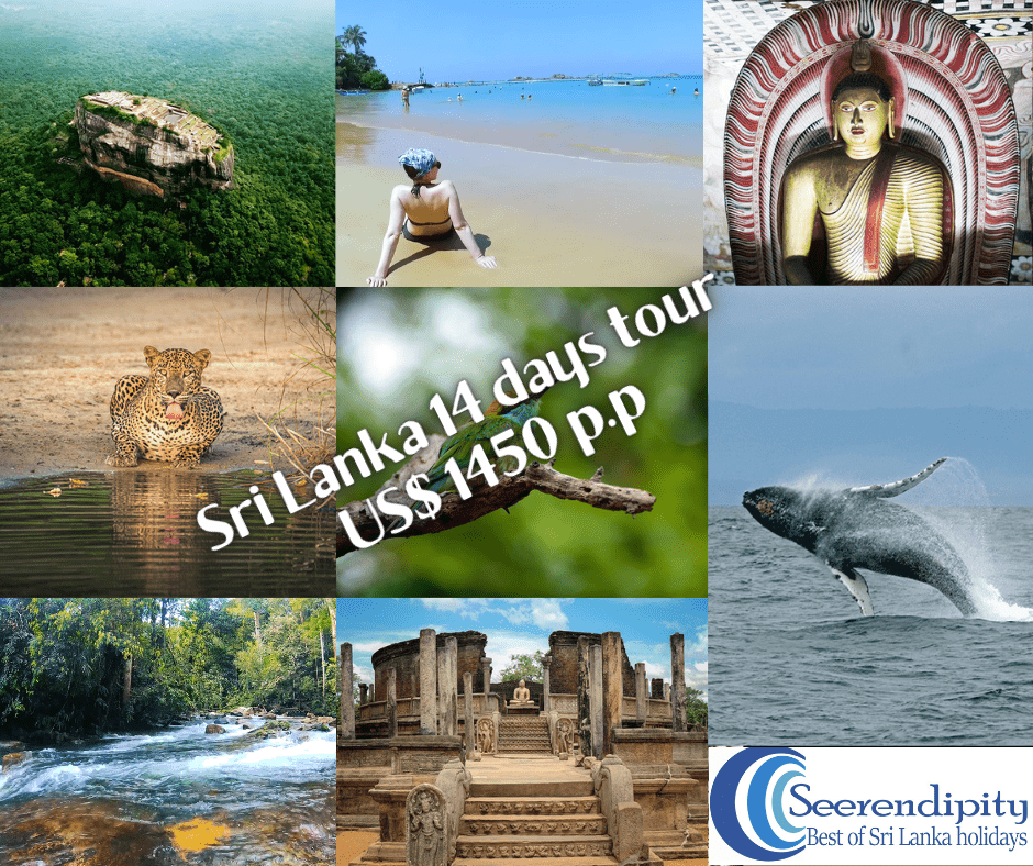 13 Places for Sri Lanka Safari and Beach Holiday