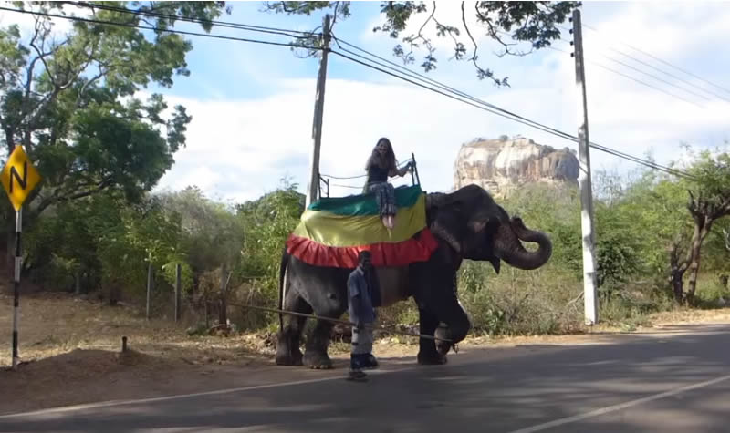 elephant ride sri lanka