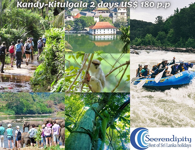 Sri Lanka 4 days package with Kandy trip packages