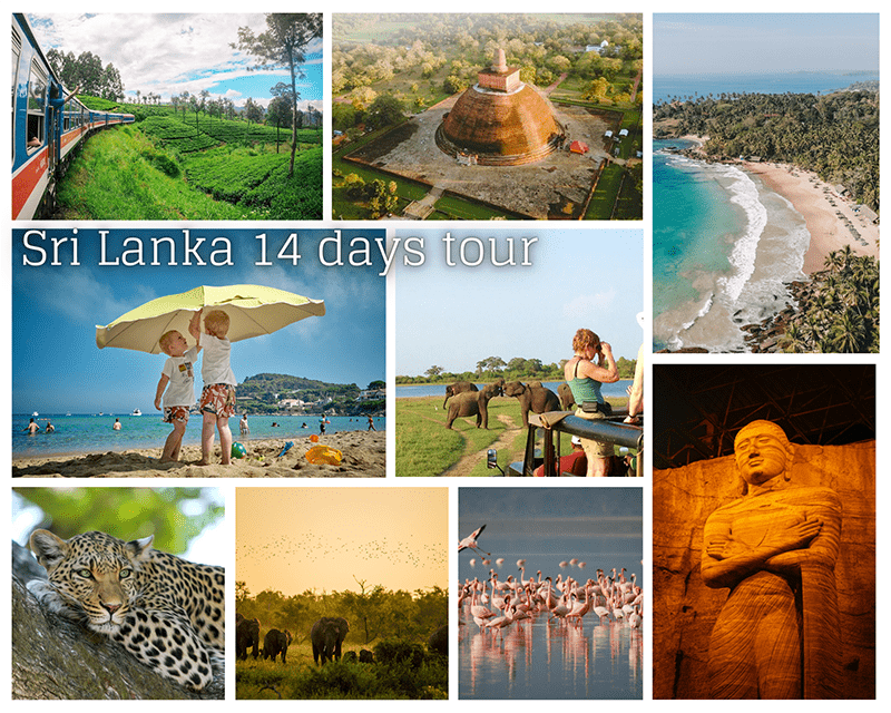 Sri Lanka grand tour, a 14-day private tour offers the perfect introduction for visitors to Sri Lanka. Your customizable itinerary includes four UNESCO World Heritage sites, wildlife parks, pristine coastal areas, and a beautiful hill country.