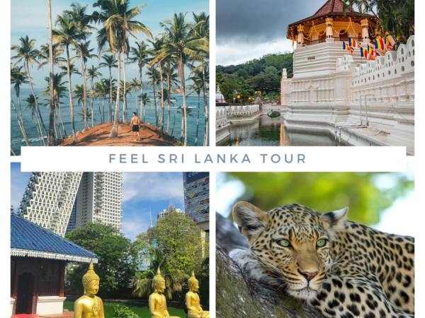 7-day Colombo itinerary