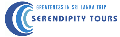Seerendipity Tours and Travels